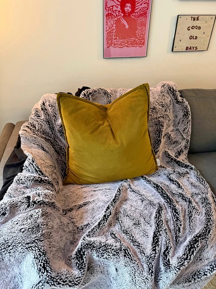 Throw Pillows (6)