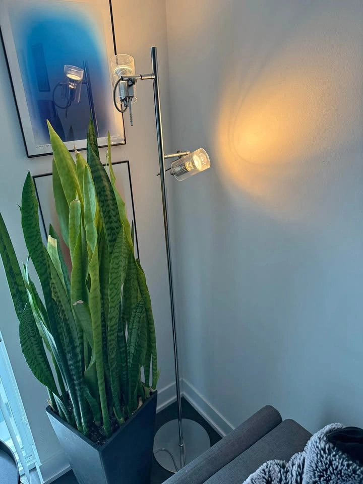 Spot Light Floor Lamps (2)