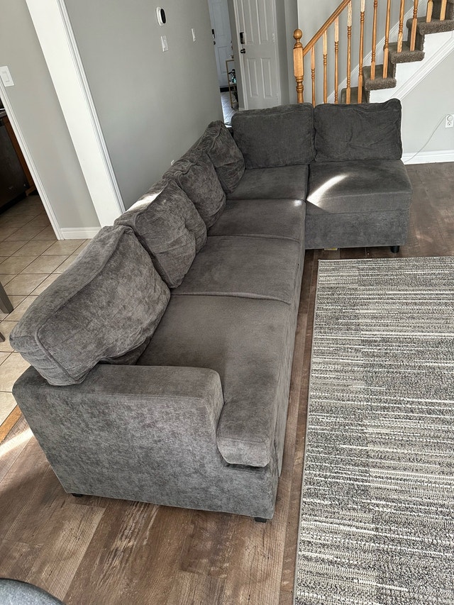 Sectional and pull out couch