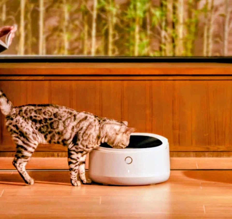 Smart Automatic Wet Cat Feeder (App-Controlled + Cooling System) - photo 3