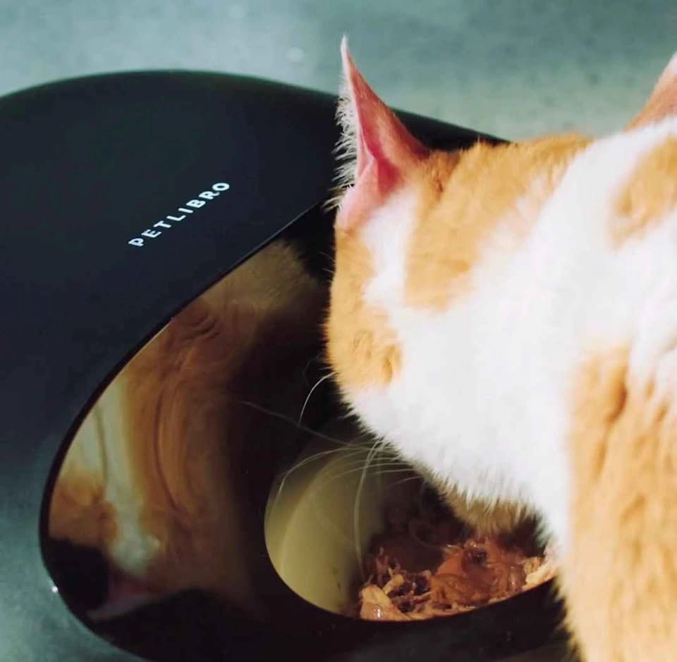 Smart Automatic Wet Cat Feeder (App-Controlled + Cooling System) - photo 4