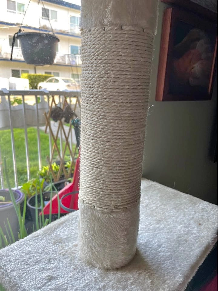 Floor to Ceiling Cat Tower