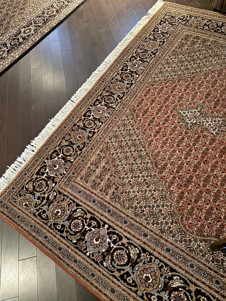 Hand-Knotted Persian Wool Rug - Bidjar Style - 6x10 - Moving Sal