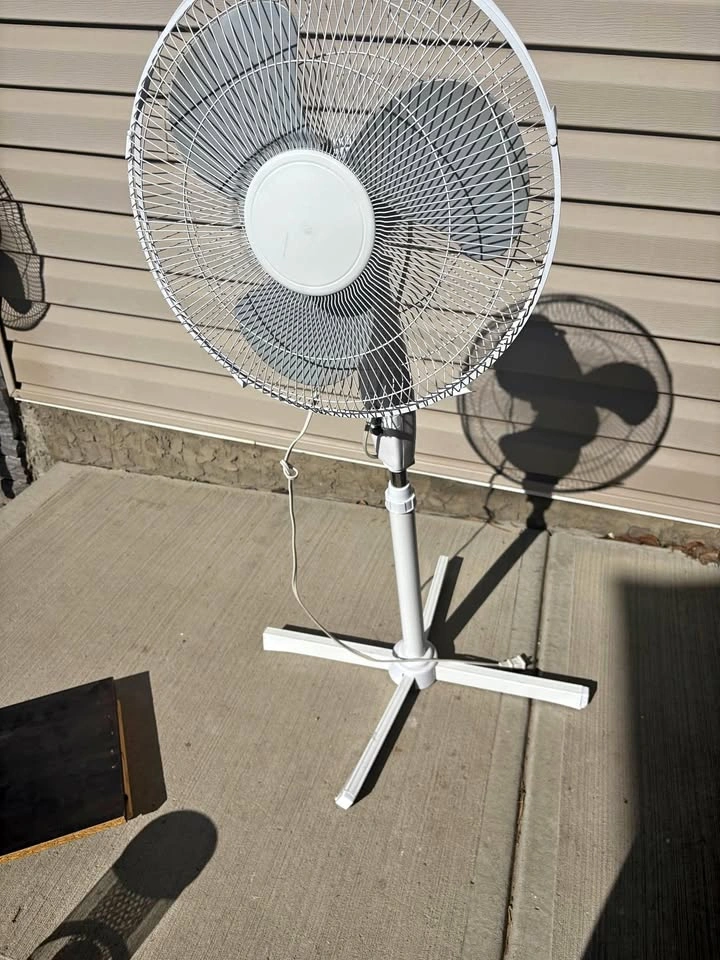 Standing Fans