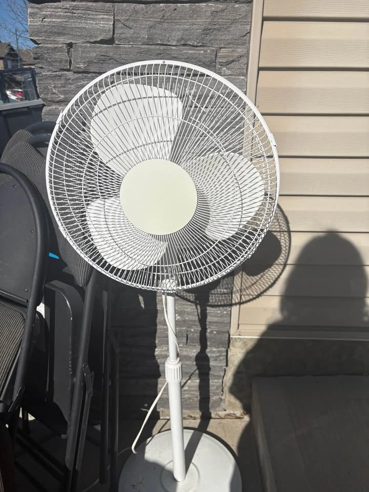 Standing Fans - photo 4