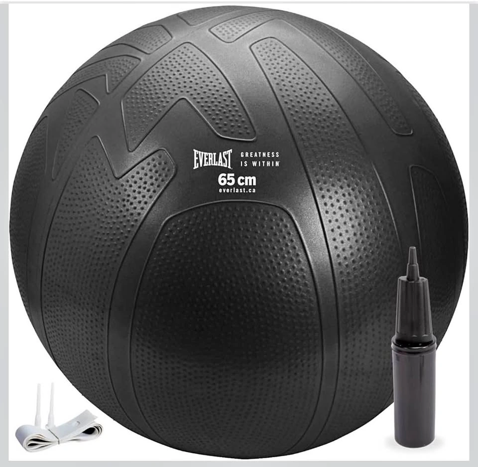 Brand New Everlast 65cm Pro Grip Fitness Ball