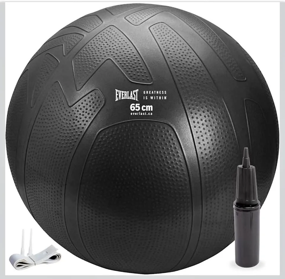 Brand New Everlast 65cm Pro Grip Fitness Ball