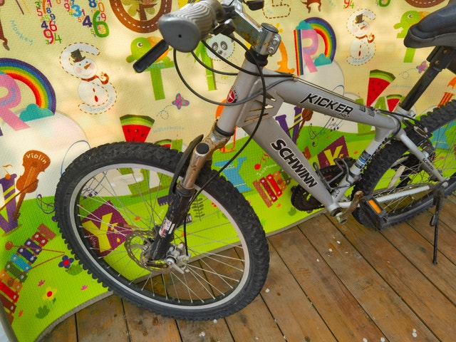 Schwinn Kicker Jump Urban Hybrid Bike, 24-in - photo 3