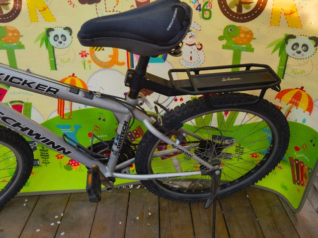 Schwinn Kicker Jump Urban Hybrid Bike, 24-in - photo 4