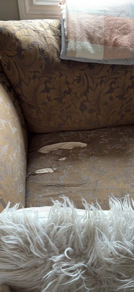 Chair and a half with Ottoman. - photo 3