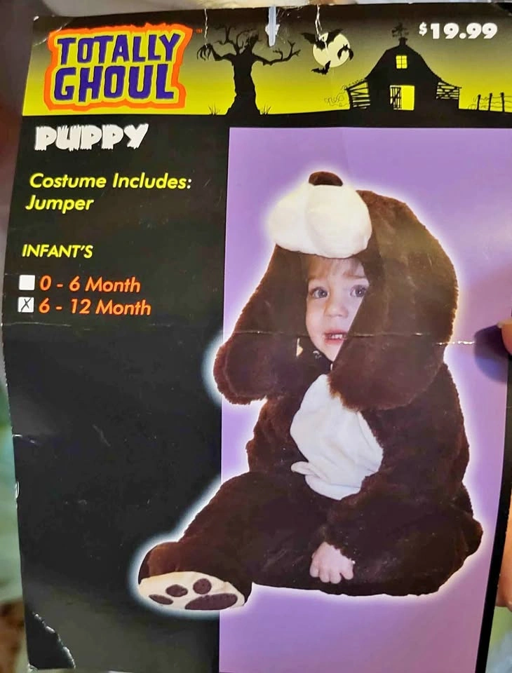 Costumes - puppy, unicorn and bumblebee