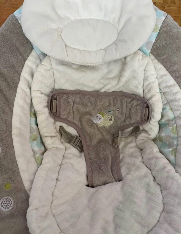 Ingenuity Automatic Baby Bouncer - photo 2