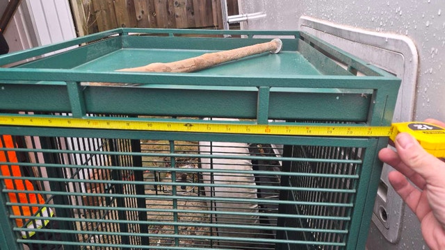 Extra large bird cage. - photo 4