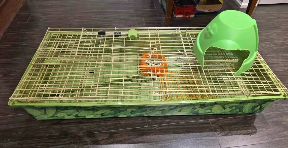 Small animal cage