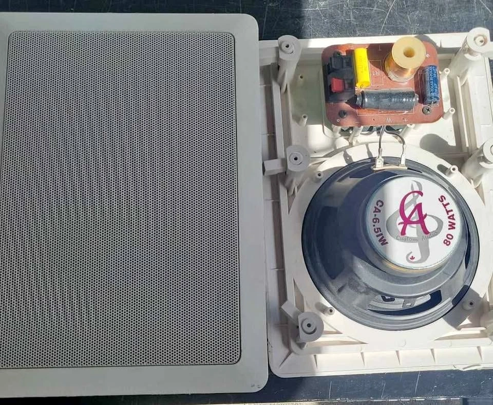Custom Audio CA-6.5IW