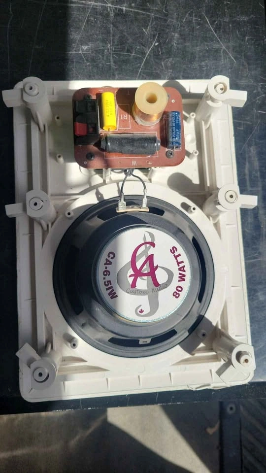 Custom Audio CA-6.5IW - photo 2