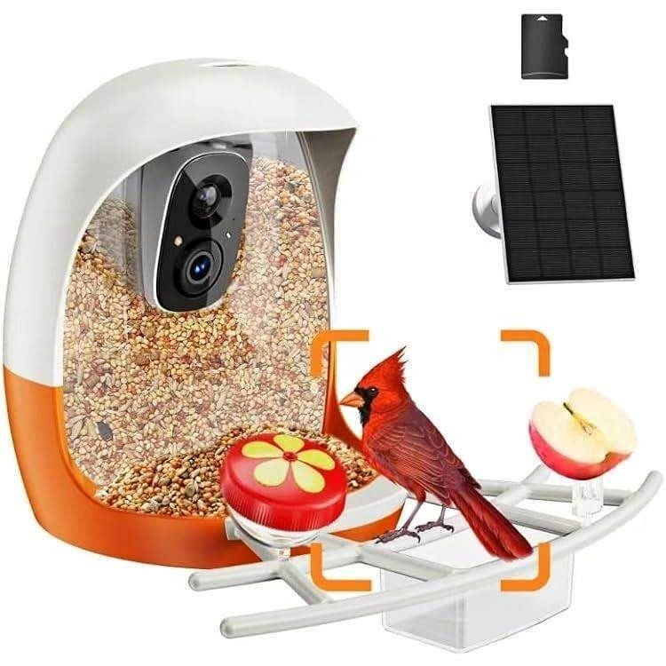Smart Bird Feeder Camera Solar Powered
