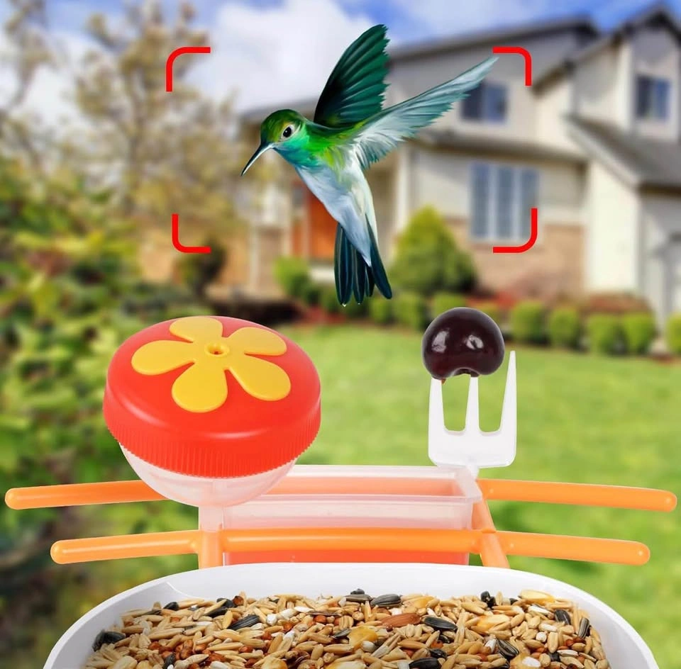 Smart Bird Feeder Camera Solar Powered - photo 2