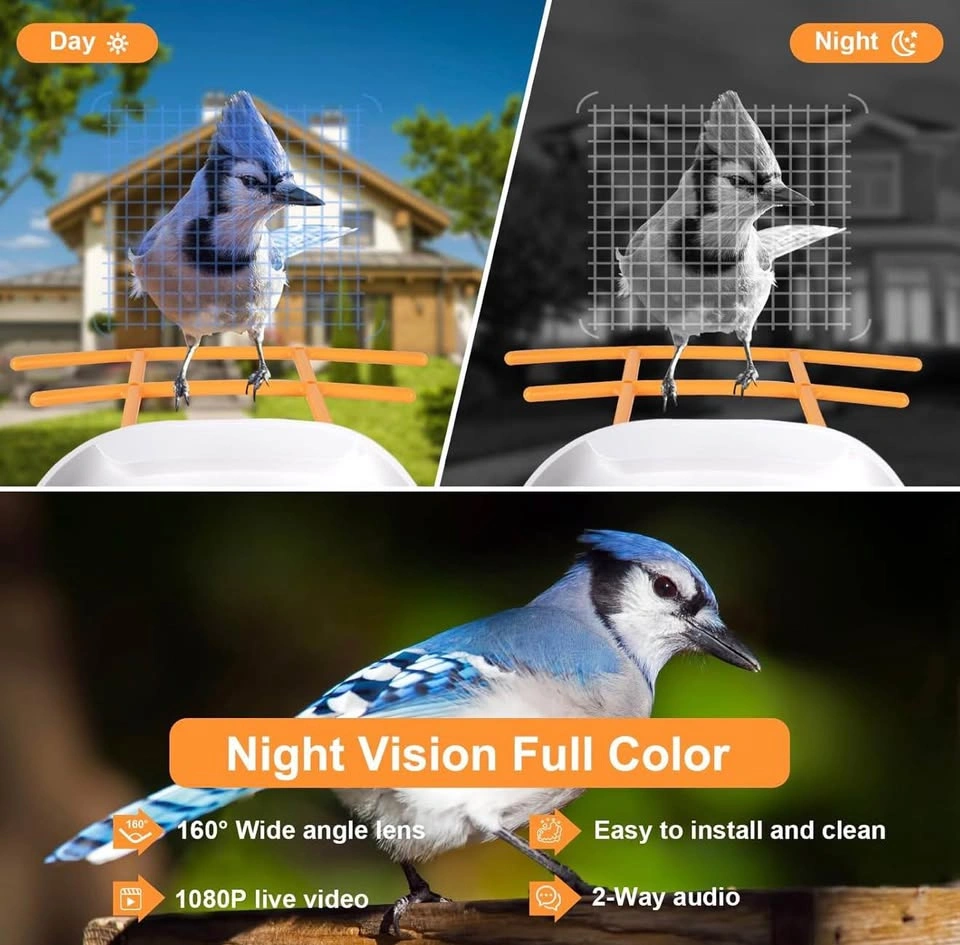 Smart Bird Feeder Camera Solar Powered - photo 4