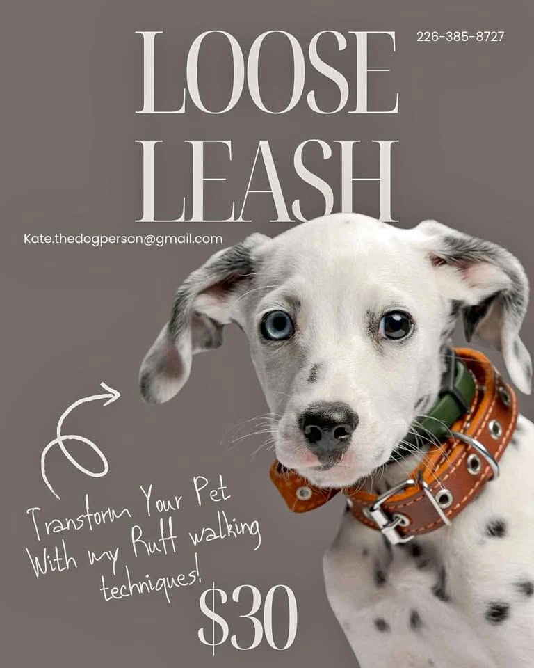 Loose Leash No Pulling!