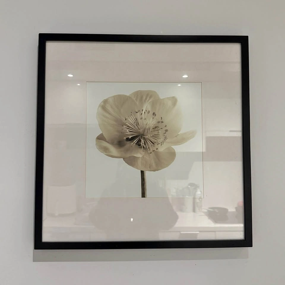 Floral Glass Wall Art Decor