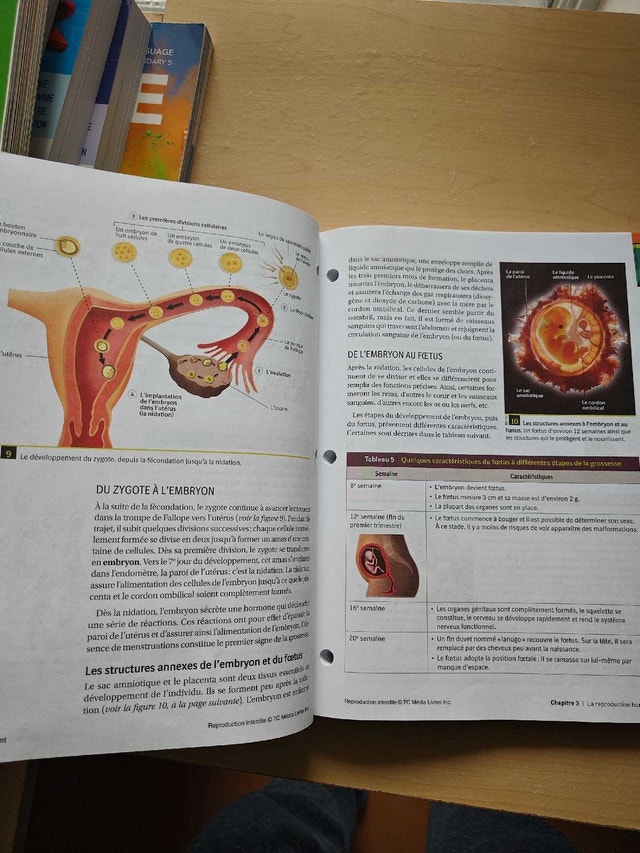 Science and Technology Textbook - Secondary 2 - photo 4