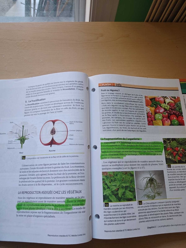 Science and Technology Textbook - Secondary 1 - photo 3