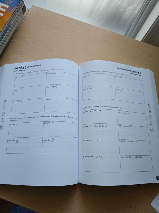 Secondary 5 Prep Book (French, Math, English) - photo 3