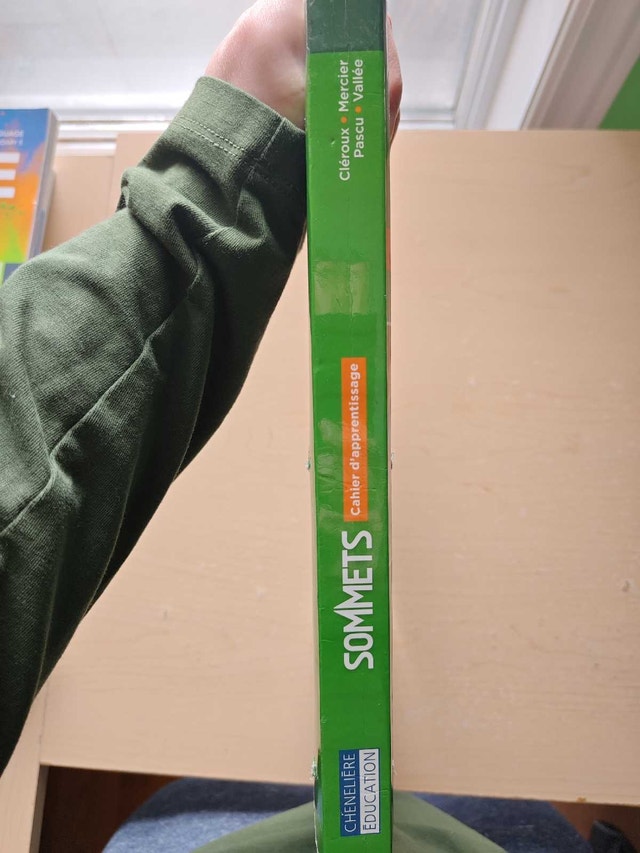 High school mathematics book - photo 3