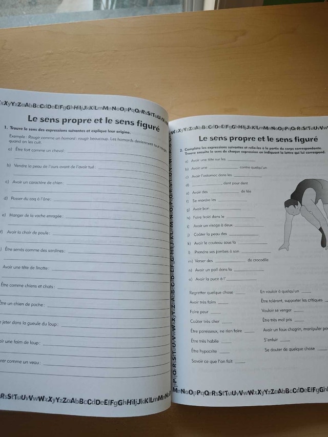 My 6th Year Exercise Book - photo 3