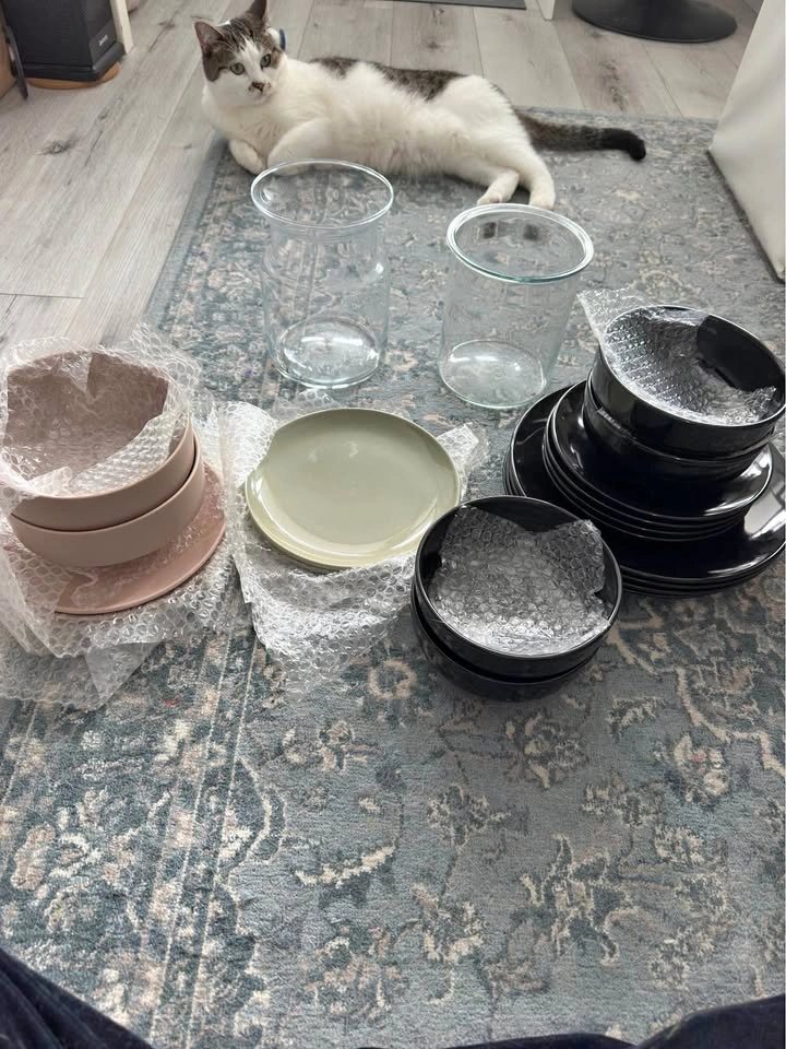 Like-New Dinnerware Sets | Walmart Black Plates + Pastel Bowls &