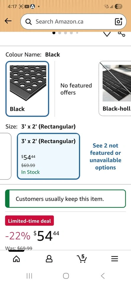 Front Door Mat, Heavy Duty - photo 2