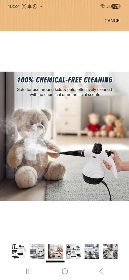 Handheld Steam Cleaner - photo 5