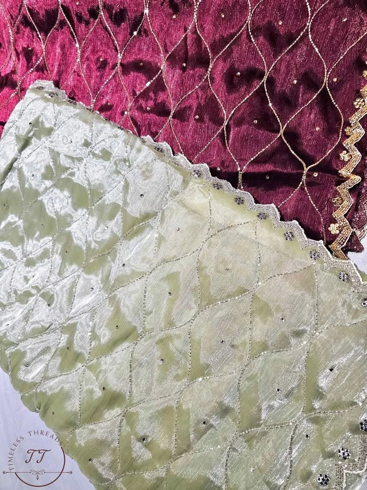 Beautiful tissue sari with crystal work and border - SUMMER SALE