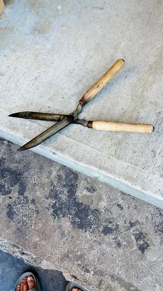 Hedge Shears