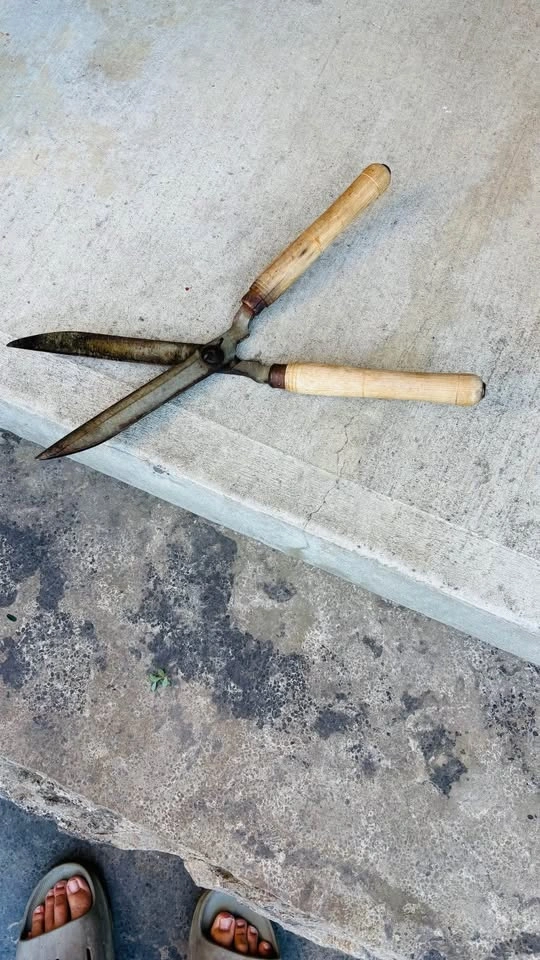 Hedge Shears - photo 2