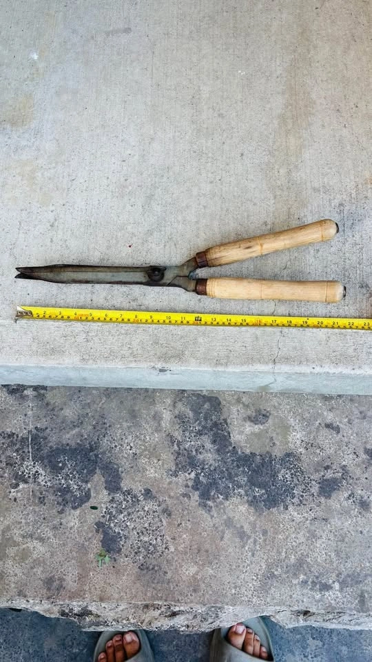 Hedge Shears - photo 3