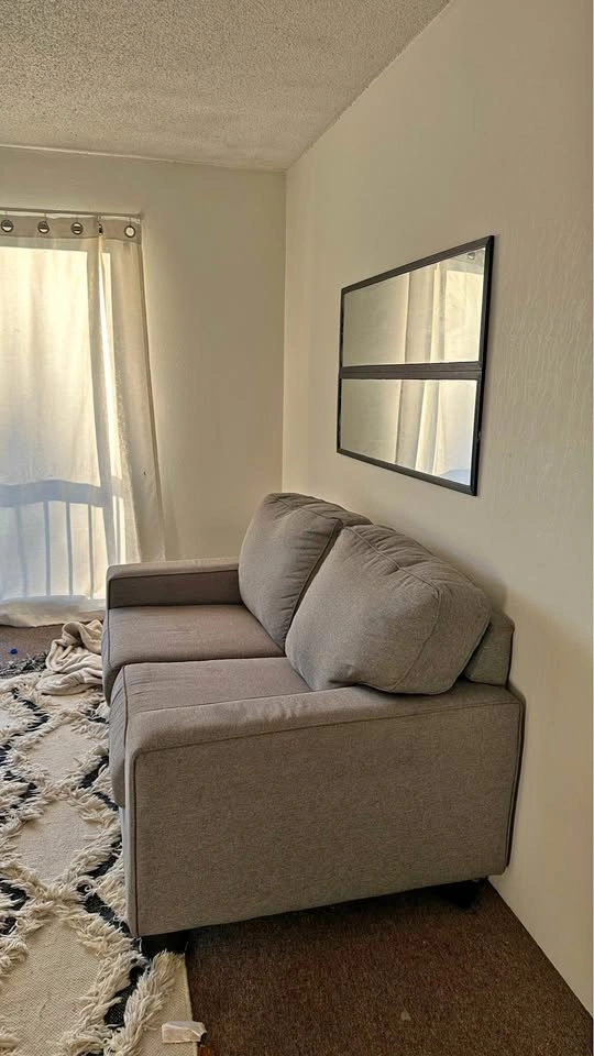 Grey couches