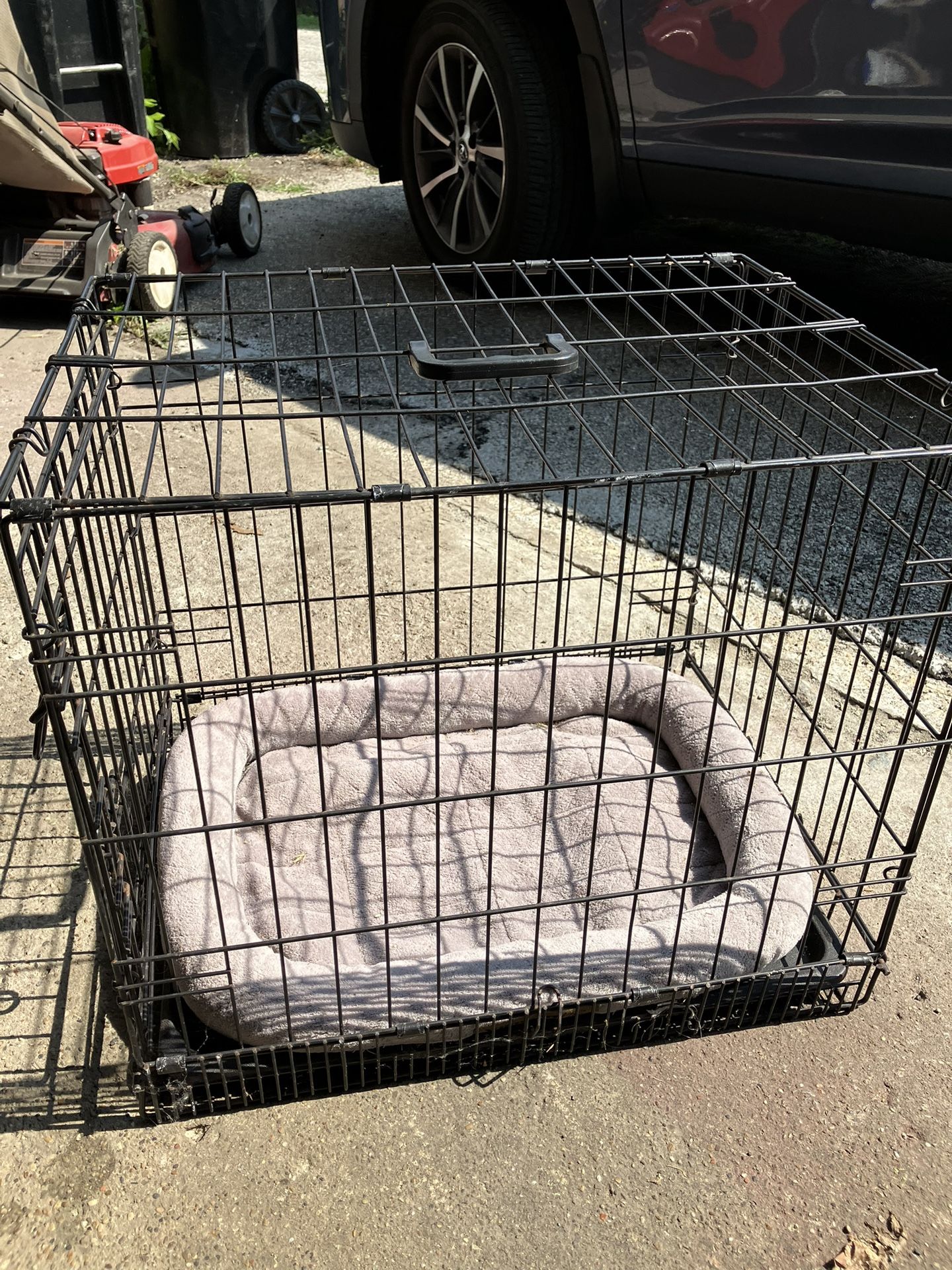 Dog Kennel