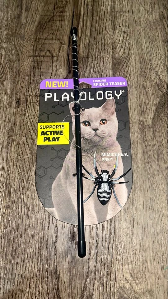 Spider Chaser Cat Toy - Brand New
