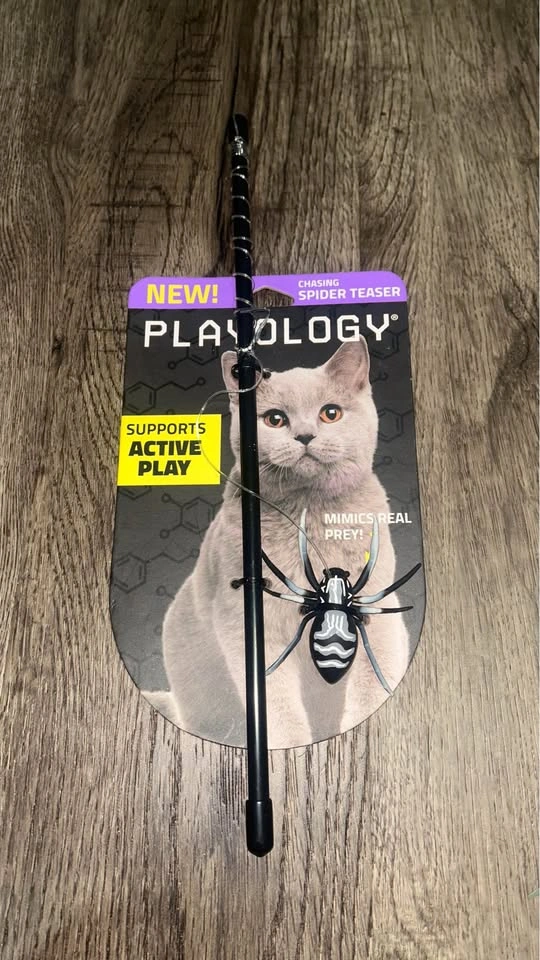 Spider Chaser Cat Toy - Brand New - photo 2