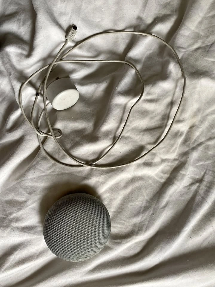 Google Home Mini