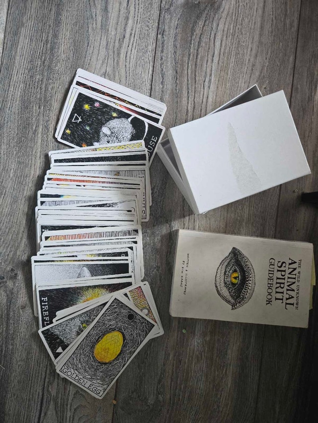 The Wild Unknown Animal Spirit Deck and Guidebook by Kim Krans