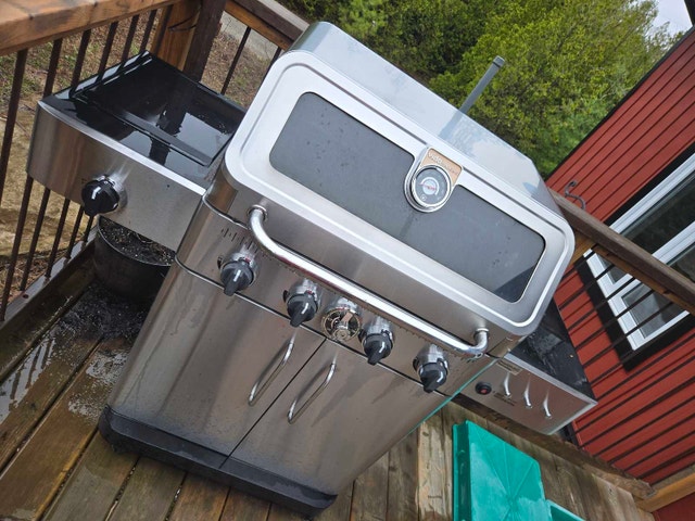 Vida by Paderno BBQ