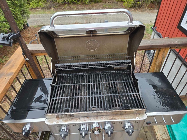 Vida by Paderno BBQ - photo 2