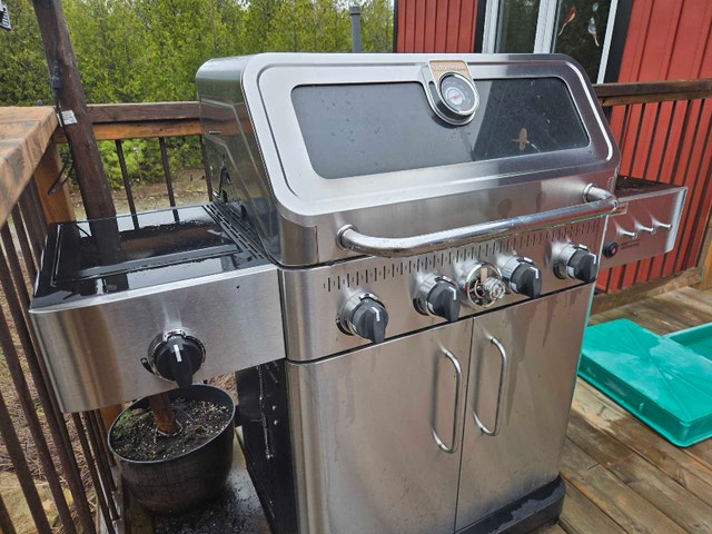 Vida by Paderno BBQ - photo 3