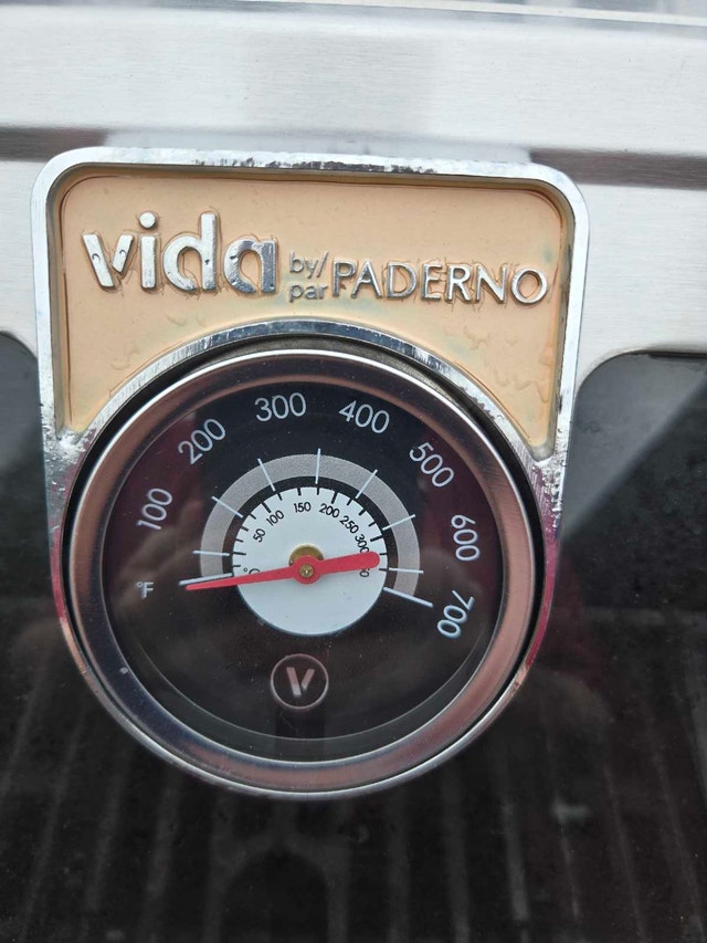 Vida by Paderno BBQ - photo 4