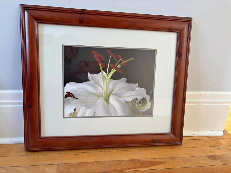Framed photos, artwork