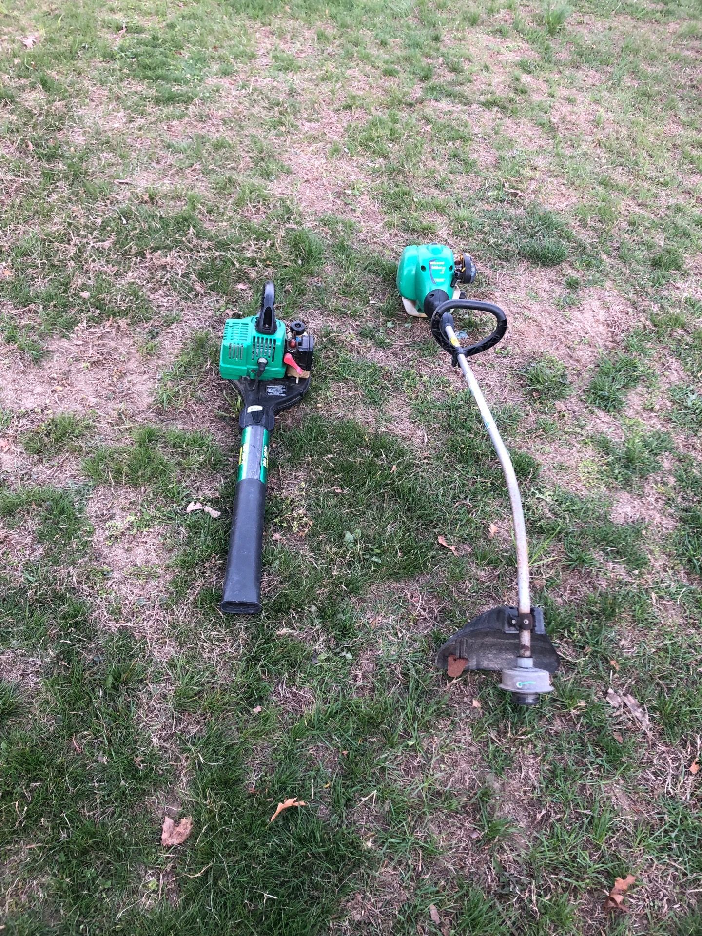 Weed Eater Weedwhacker & Leaf Blower