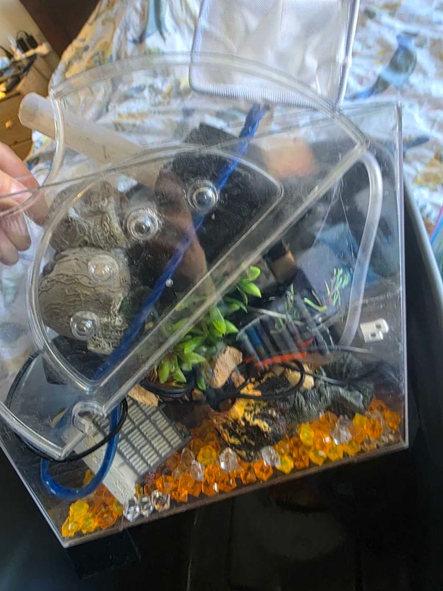 Miscellaneous Aquarium Items - photo 3